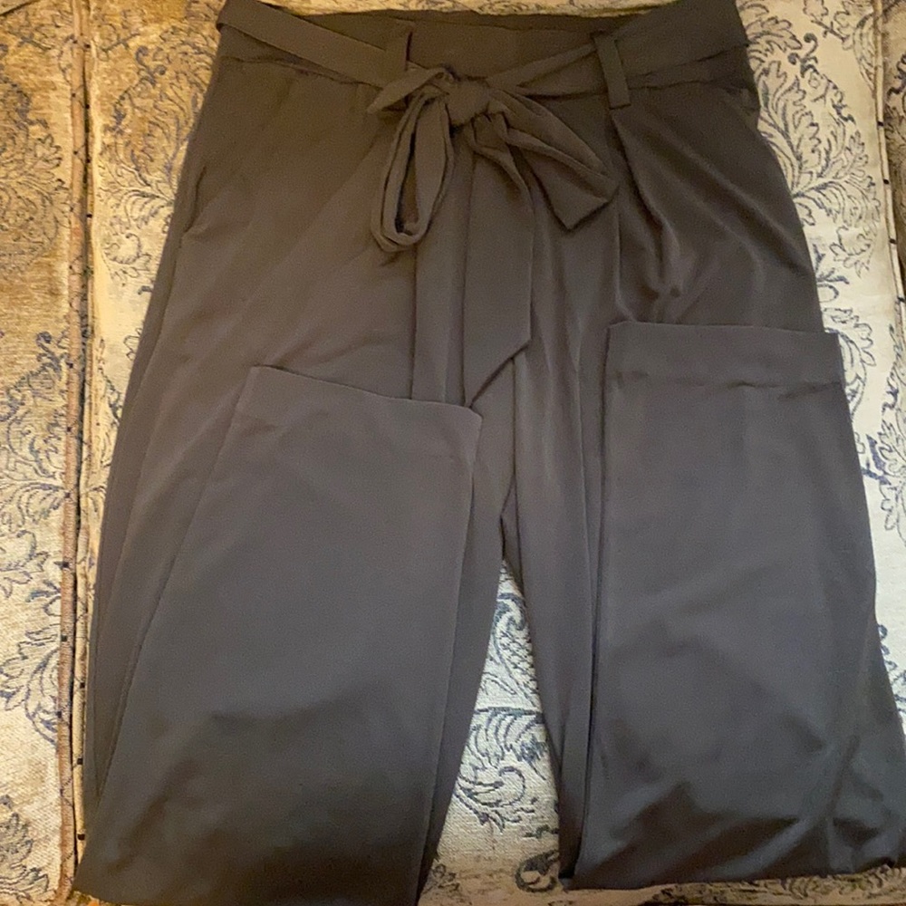 Express belted pants